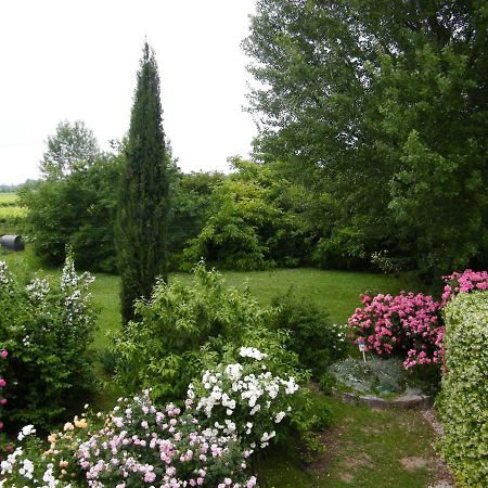 Apartament Il Nido Di Rondine Oderzo Zewnętrze zdjęcie
